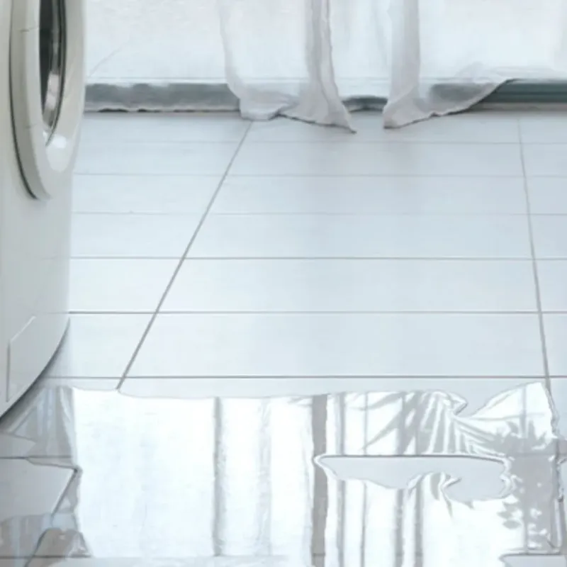 Appliance Leak Cleanup in Newark, CA
